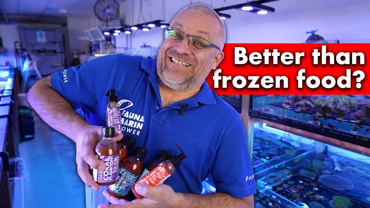 Vídeo de Biotopos aquarismo marinho