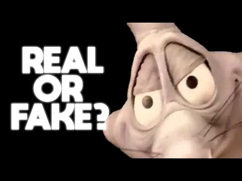 Rap Rat Explained