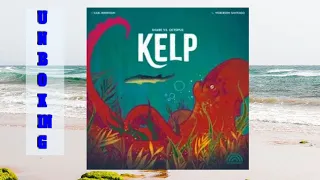 Unboxing Kelp: Shark v. Octopus!