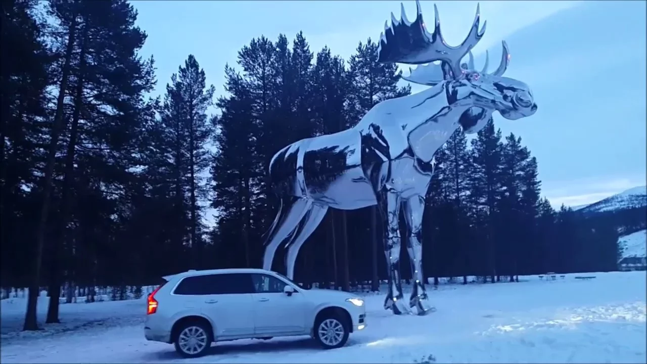 2016 Volvo XC90 - Huge Moose!
