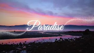 Peder B. Helland - Paradise (Radio Edit)