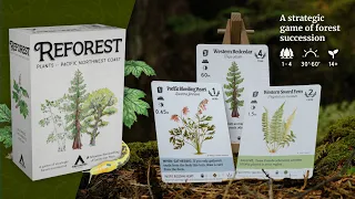 Reforest Overview