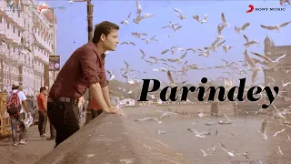 Parindey – Mohammed Irfan | The Successful Loosers | Aaditya Kumar | Abhishek R Sharma
