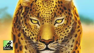 Rahdo Previews►►► Wild: Serengeti