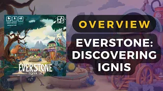 Everstone Discovering Main Actions Overview - DaniCha