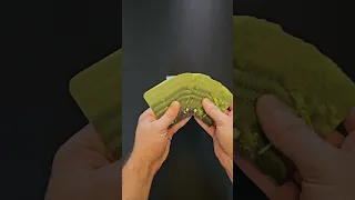 Forest Shuffle - Woodland Edge - Unboxing