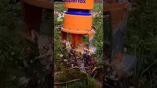 Removing Tree Stumps! 🪵 #treestump #machinery #trees