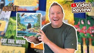 Canopy Evergreen - Review & How to Play
