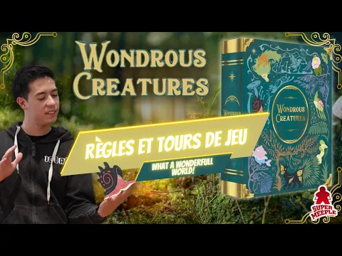 Wondrous Creature - Règles et Tours de Jeu