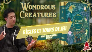 Wondrous Creature - Règles et Tours de Jeu