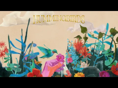 Hummingbirds | Animation