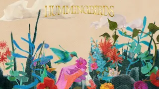 Hummingbirds | Animation