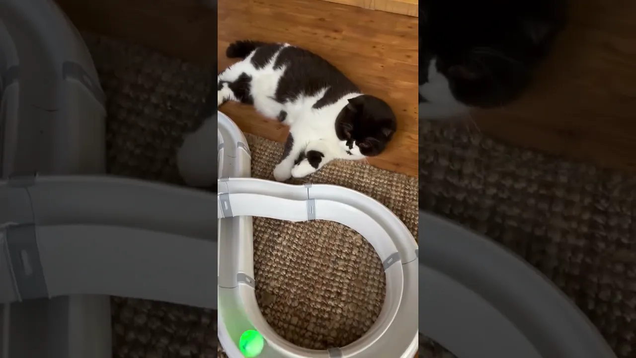 Модульная игрушка для кошек Ferplast Typhon