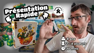 ⌛la présentation rapide:
