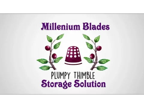 Millennium Blades: Storage Solution