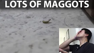 Nio EL8 Europe road trip part 12 - Encountered nightmare Airbnb