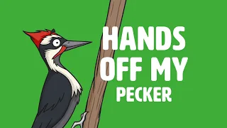 How To Play Hands Off My Pecker