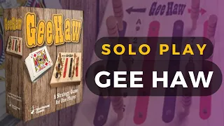 Gee Haw Board Game Solo Playthrough | DaniCha