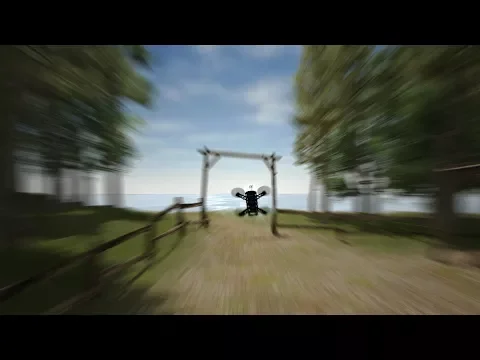Video di FPV Freerider demo