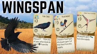 Wingspan: Saved By The Crow