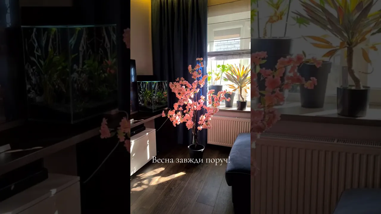 Искусственная цветущая вишня (сакура) H135cm NKoop EEG