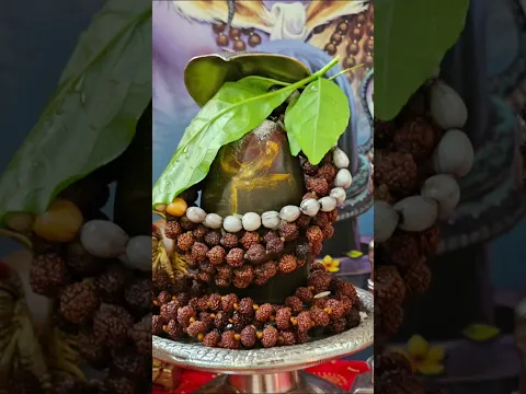 youtube-video-thumbnail