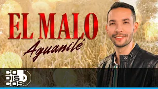 El Malo, Aguanilé - Video