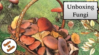 Dentro la Scatola (unboxing 022) - Fungi