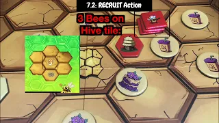7.0: 1 Player Mode