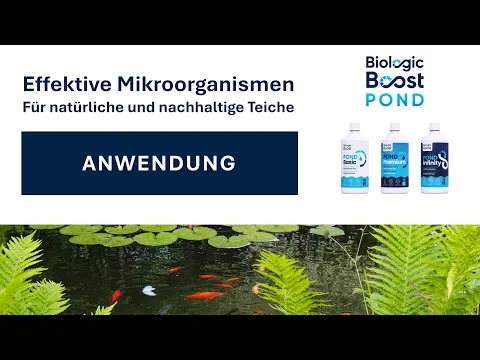 youtube-video-thumbnail