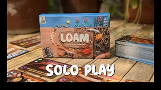 Loam: The Game of Soil Biodiversity - Solo Mode Playthrough