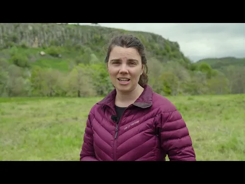 youtube-video-thumbnail