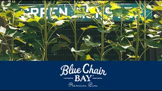 Blue Chair Bay Rum - Cocktails with Kenny Chesney