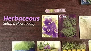 Herbaceous - Setup & How to Play