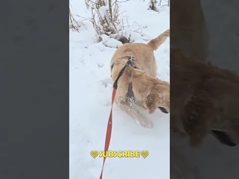 youtube-video-thumbnail