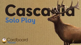 Cascadia - Solo Board Game Playthrough