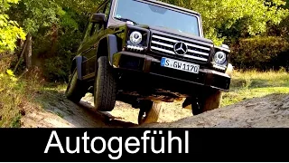 Mercedes G500 offroad driving G-Class G-Klasse (citrine brown) Exterior/Interior - Autogefühl