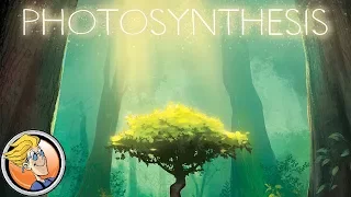 Photosynthesis — overview and rules explanation