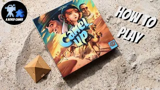 How to Play Camel Up