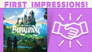 The Castles of Burgundy: Special Edition - First Impressions: Worth the Bling?