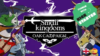 Presentation Small Kingdoms Oak Campain kickstarter