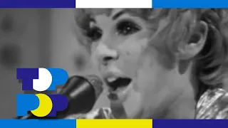 The Paper Dolls - Something Here In My Heart - Vjoew 1968 • TopPop