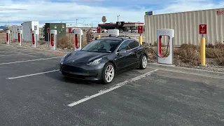 Tesla Model 3 Road Trip Dog Rescue Series 1! Transporting Thor To Salt Lake City