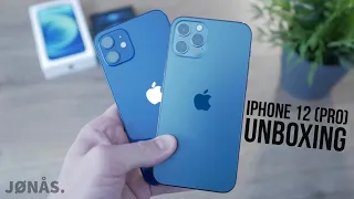 iPhone 12 und 12 Pro Unboxing und Farbvergleich Blau