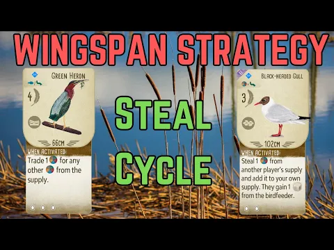 Wingspan Combo Strategy: Food Cycling Combo!
