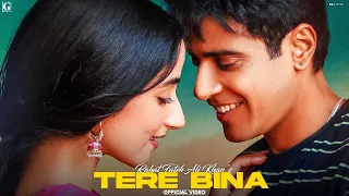 Tere Bina : Ustad Rahat Fateh Ali Khan (Full Video) Guri - Latest Punjabi Song - Geet MP3