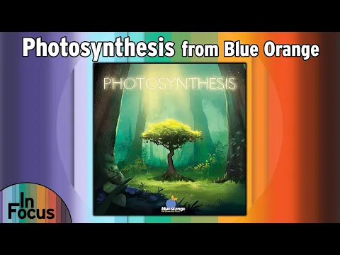Photosynthesis - In Focus