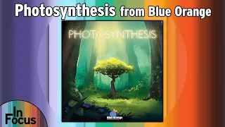 Photosynthesis - In Focus