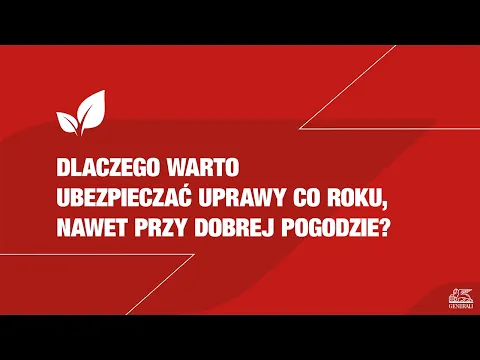 youtube-video-thumbnail