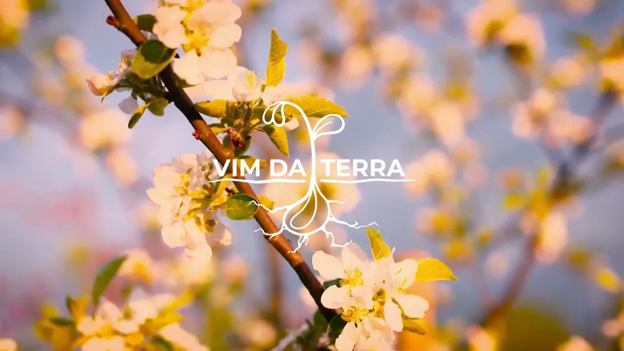 Vídeo de Vim da Terra